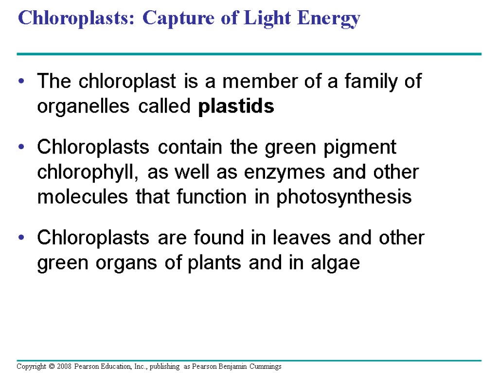 Chloroplasts: Capture of Light Energy The chloroplast is a member of a family of